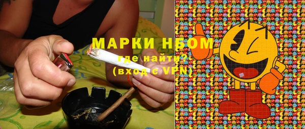 хмурый Осинники