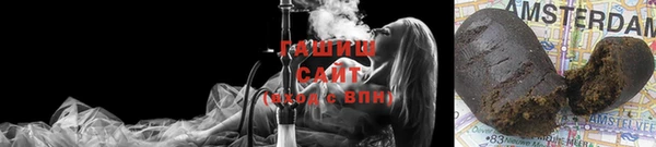 хмурый Осинники