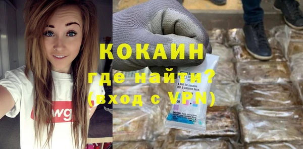 хмурый Осинники