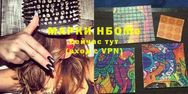 хмурый Осинники