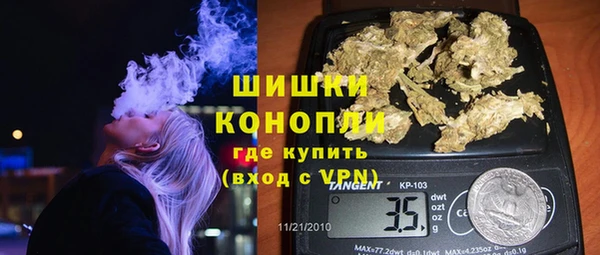 хмурый Осинники