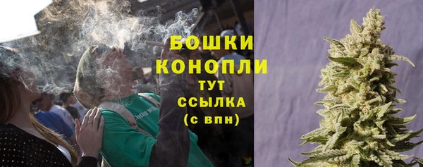 хмурый Осинники